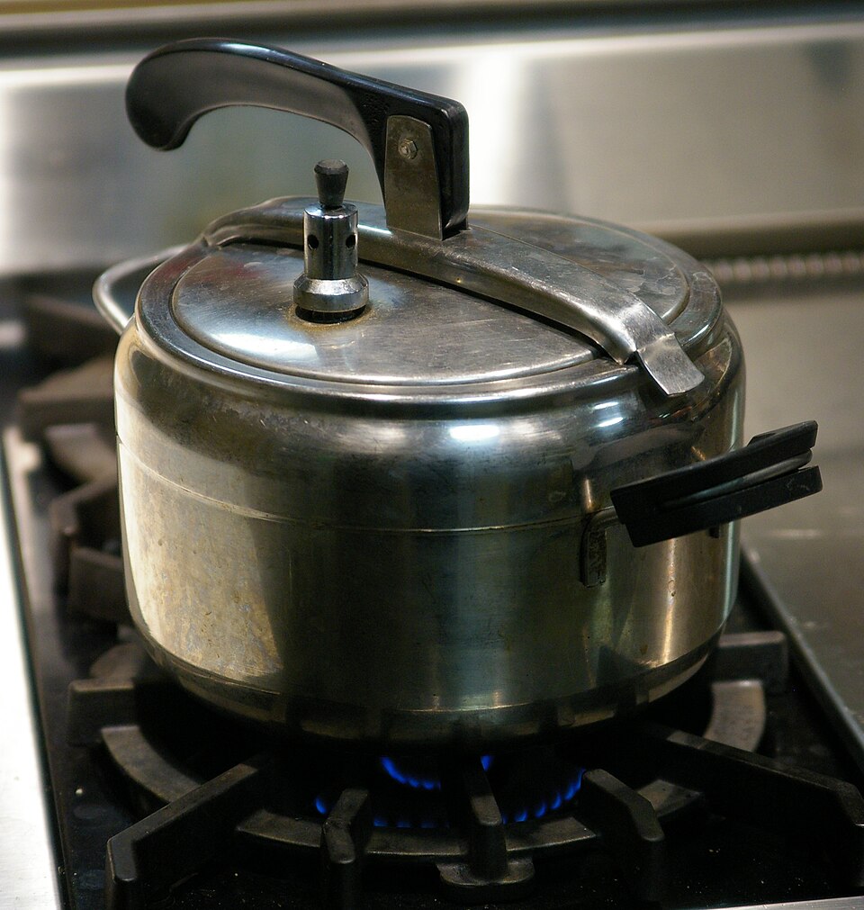 زودپز تفال — Tefal Pressure Cooker